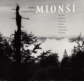 Virgin Forest Mion?
