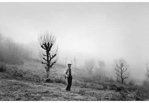 Virtual Launch Event: Fondation Cartier presents Raymond Depardon in conversation with Clment Chroux and Pauline Vermare