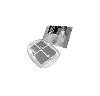 VISIONAIRE 28 BIBLE