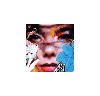 Visionaire No. 36 Power ARTBOOK | D.A.P. 2001 Catalog Books
