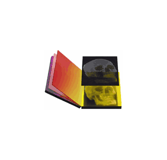 VISIONAIRE 43 DREAMS」！！