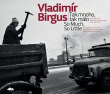 Vladimr Birgus: So Much, So Little