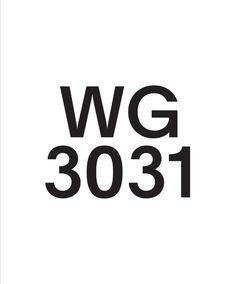 Wade Guyton: WG3031