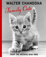 Walter Chandoha: Family Cats