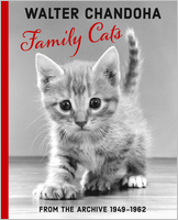 Walter Chandoha: Family Cats