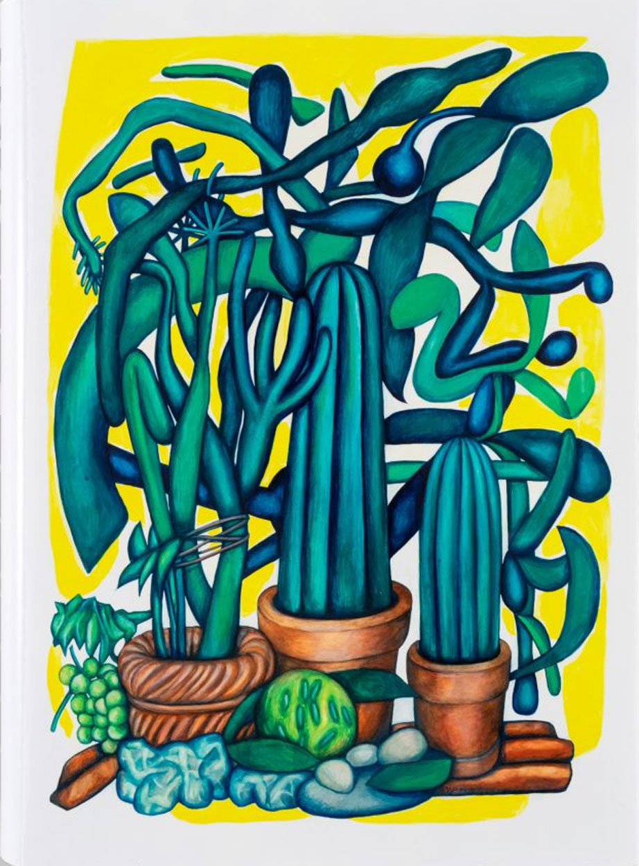 Walter Pfeiffer Bildrausch. Drawings 1966-2018 ARTBOOK | D.A.P.