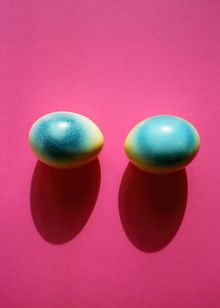 Walter Pfeiffer: Vis--vis