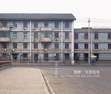 Wang Di: Ego, Structure, Red Dwellings