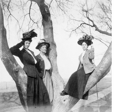 We salute the participants in this weekend's upcoming Women's Marches with 'More Women in Trees'
