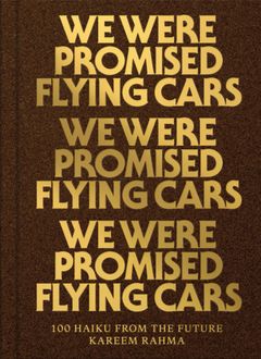 We Were Promised Flying Cars
