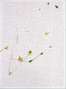 Wei Jia: 2004-2008