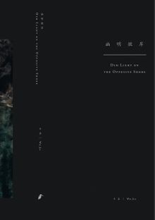 Wei Jia: Dim Light On the Opposite Shore