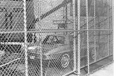 What is inside, what is out? Lee Friedlander: Chain Link