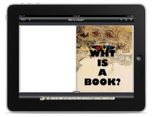 Wht is a Book? eBook