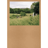 Widening the Lens: Photography, Ecology, and the Contemporary Landscape