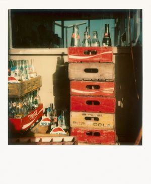 William Eggleston: Polaroid SX-70
