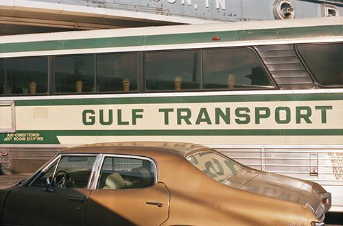William Eggleston: The Democratic Forest… reconfiguring the way we