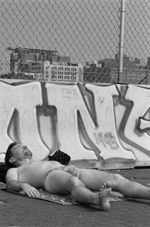 William Howell: West Side Highway