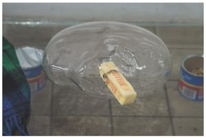 Win McCarthy: Common Ruin