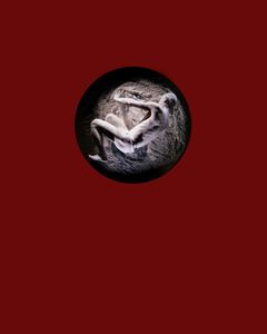 The Void: Wolfgang H Scholz