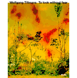 アート・デザイン・音楽 Wolfgang Tillmans Manual Wolfgang Tillmans: Manual by Wolfgang Tillmans (2007