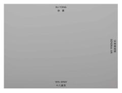 Xu Yong: 18% Gray / My Friends