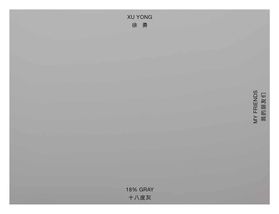 Xu Yong: 18% Gray / My Friends