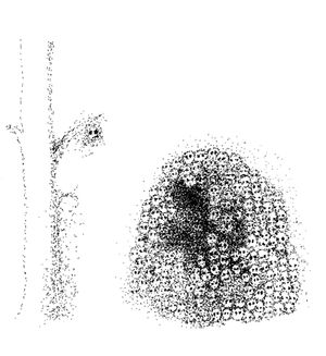Yoko Ono: Everything in the Universe is Unfinished