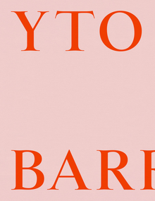 Yto Barrada: Color Problems