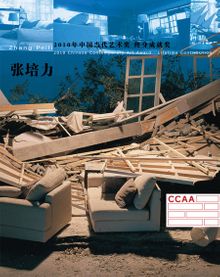 Zhang Peili: Chinese Contemporary Art Awards 2010