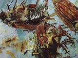 Zhang Xiao Tao: Dream Factory Rubbish Heap