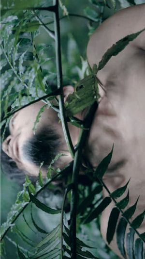 Zheng Bo: WANWU I