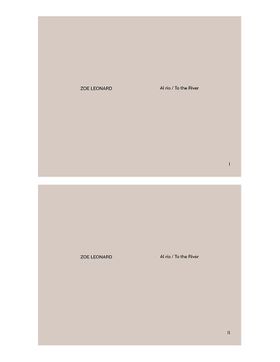 Zoe Leonard: Al ro / To the River