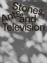 Zygmunt Rytka: Stones, Ants, and Television