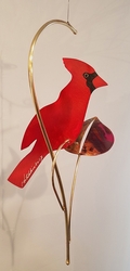 SINGLE CARDINAL