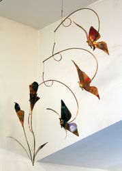 TRIPLE BUTTERFLY INDOORS