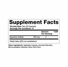 Agmatine Sulfate 500 Mg 60 C by Olympia Labs