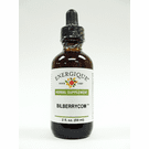 Bilberrycom by Energique - PKG. 2