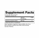 Echinacea 400 MG 100 C by Olympia Labs