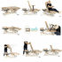 Hybrid Adjusting Chiropractic Table By Elite Tables