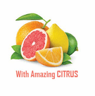 NDF Focus 2 oz By Bioray - PACKAGE OF 2