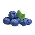 NDF Immune 2 oz By Bioray - PACKAGE OF 2