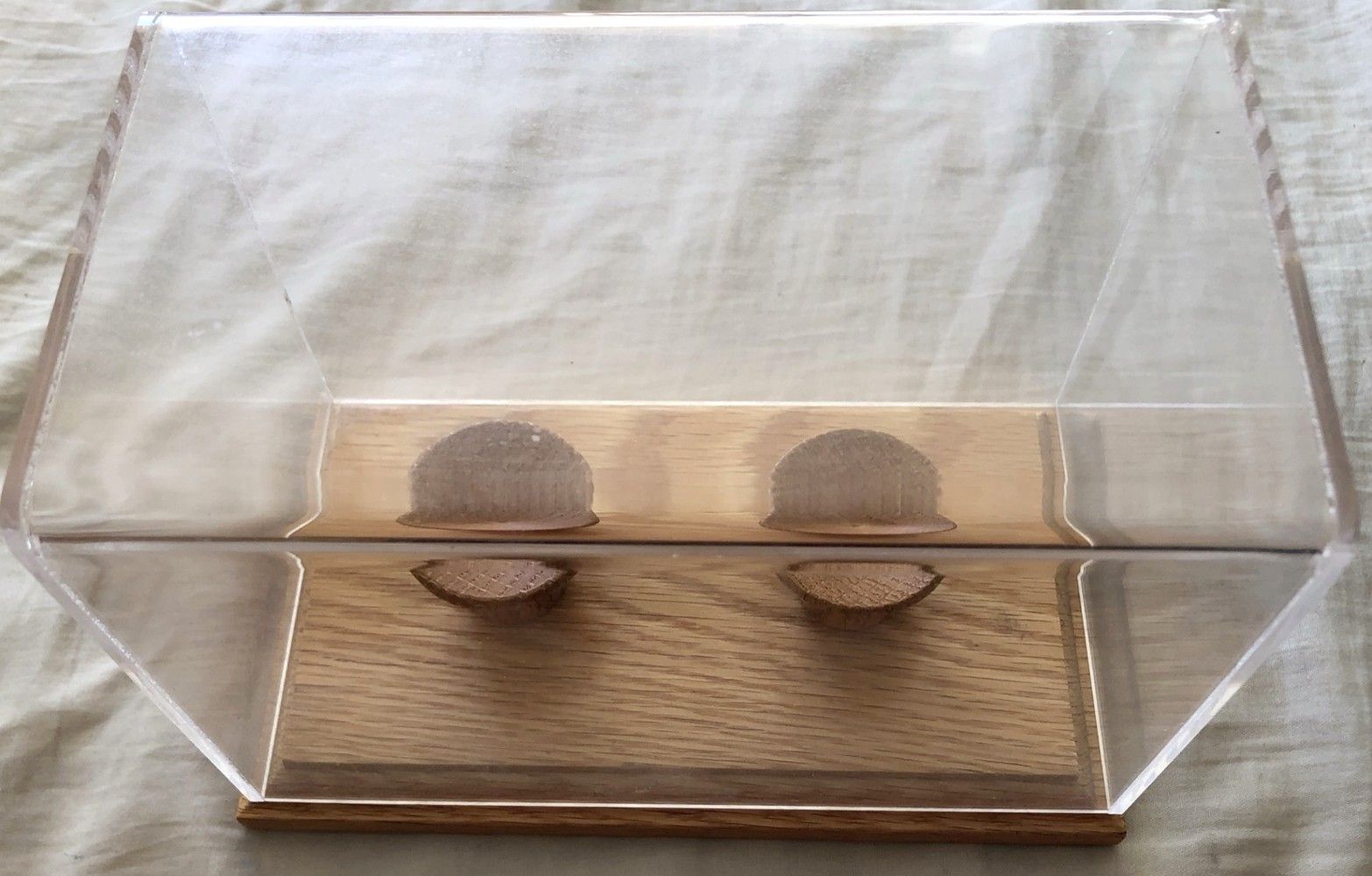2 baseball display case holder with wood base (used