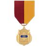 No. 10-1 Student Government Related Medal