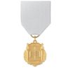 No. 10-145 Advanced Placement Medal