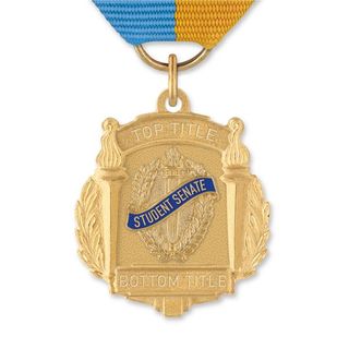 No. 10-370 Student Senate Medal