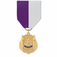 No. 10-790 Activities Medal