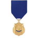 No. 10-790 Library & Media Center Medal