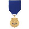 No. 10-790 Library & Media Center Medal