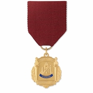 No. 10-790 Yearbook Medal